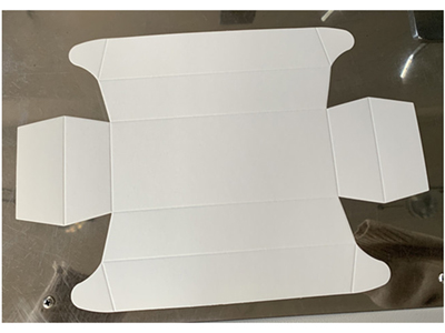 Formadora de Cajas para Alimentos, ZX-560